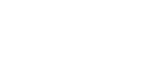 25 Year Logo